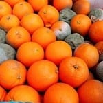 oranges10a