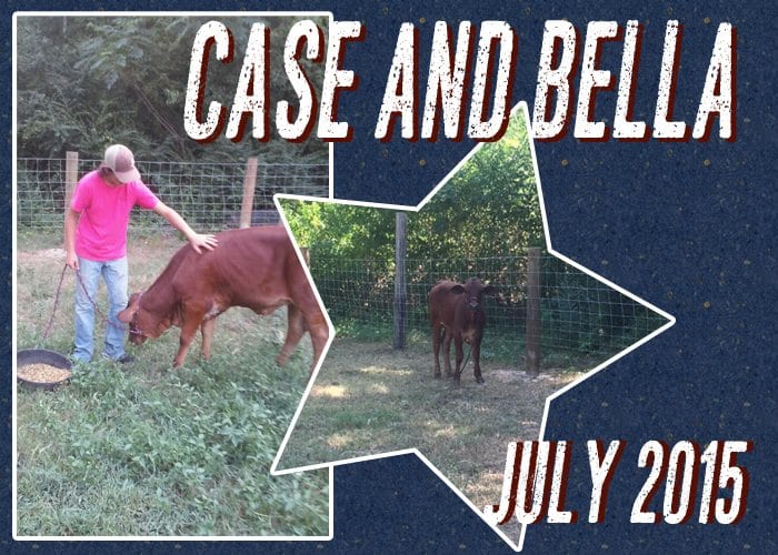 July-2015-Case-Bella