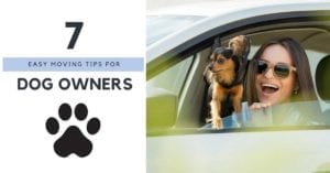 7 Dog Moving TIps | 7-Dog-Moving-TIps | Amazing Spaces® Properties