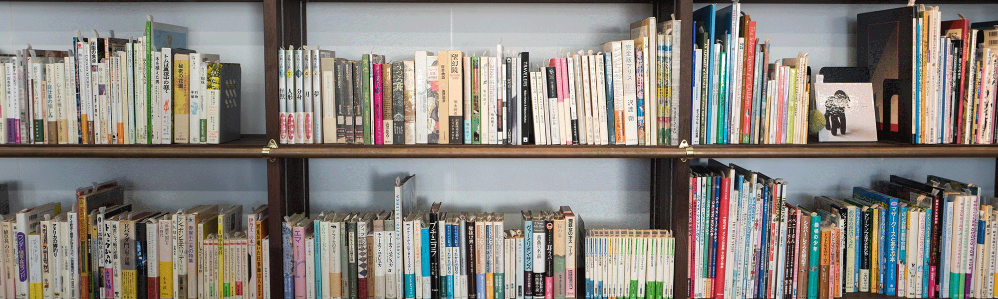 image of books organize