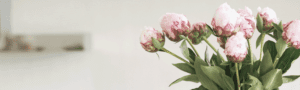 image of flowers