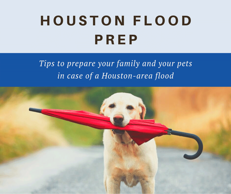 Houston Flood Prep | Houston Flood Prep for Your Family and Your Pets! | Amazing Spaces Storage Centers
