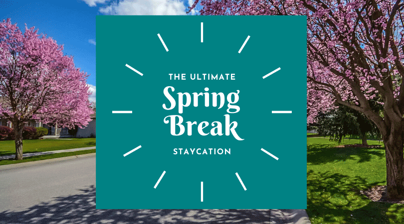 Spring Break Stacation Blog Post | The Ultimate Spring Break Staycation | Amazing Spaces Storage Centers