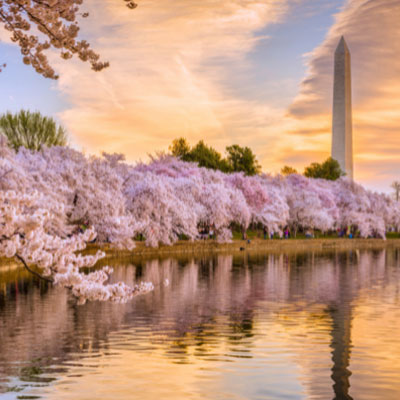 Moving to Washington DC Weather | Moving to Washington D.C.: Discover the Nation’s Capital, also known as the District! | Amazing Spaces Storage Centers